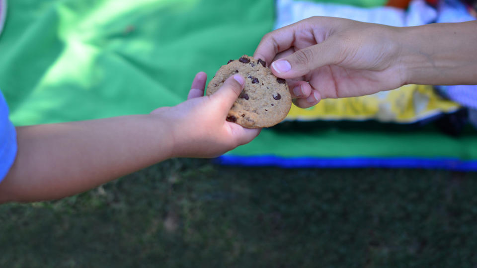A child's hand passing a cookie to an adult's hand