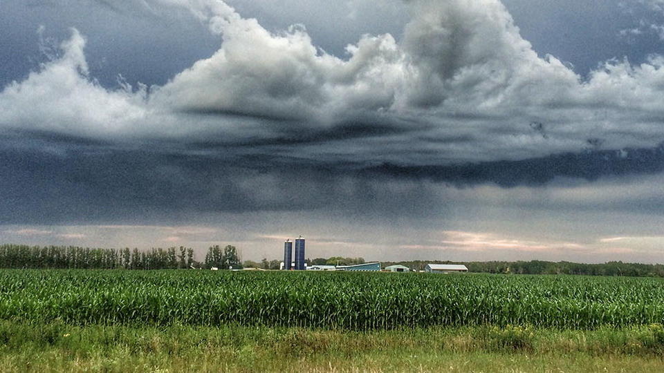 Rain cloud in the distance over a field