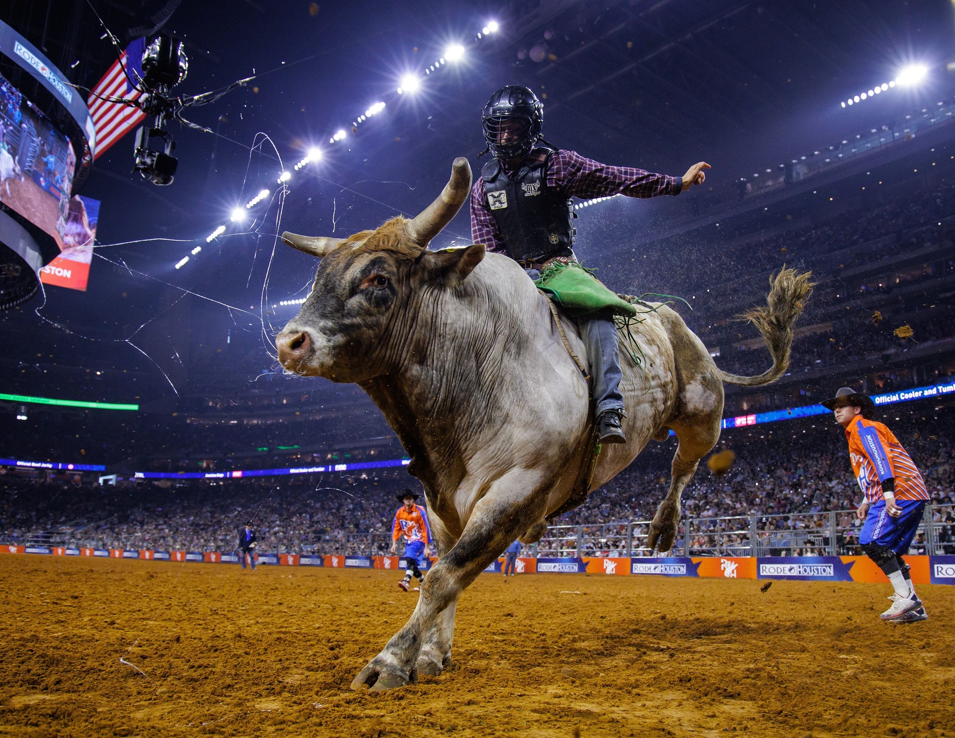 Houston Rodeo - Why Houston For Your MBA