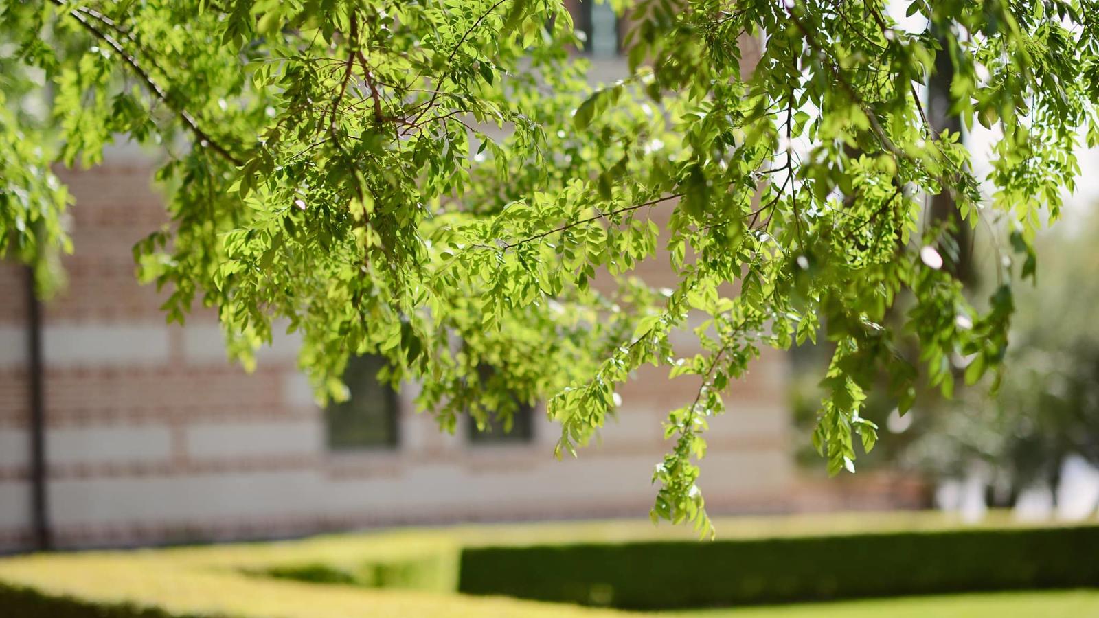Photo outside McNair Hall at Rice University