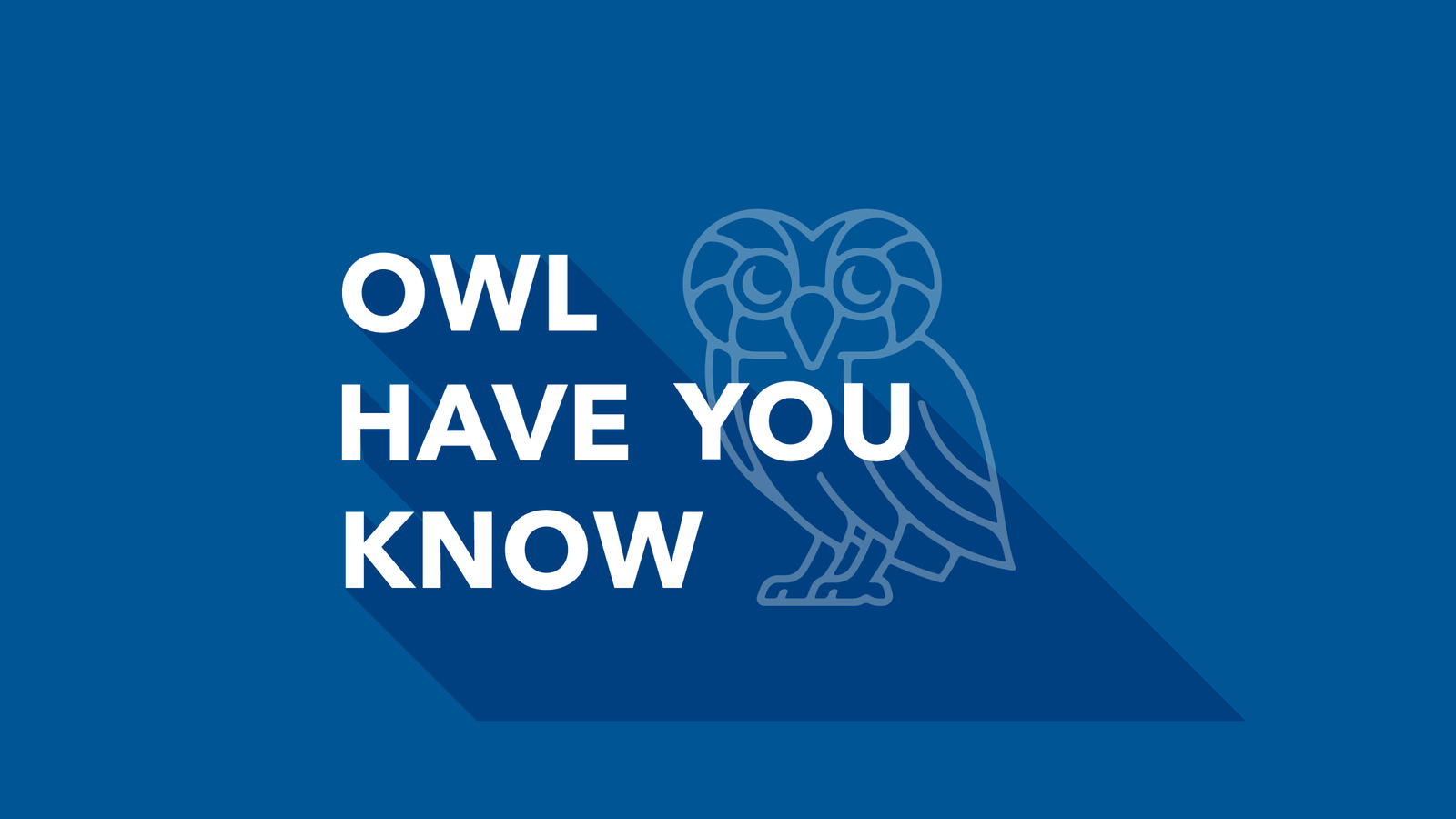 i see what you did there owl