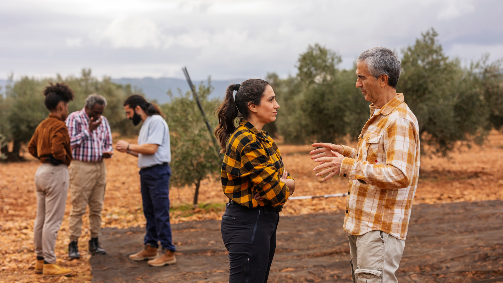 People conversing in barren garden