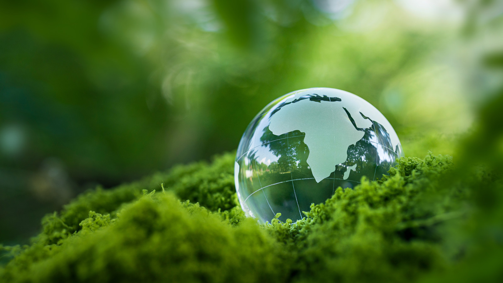 Crystal ball globe on bed of moss