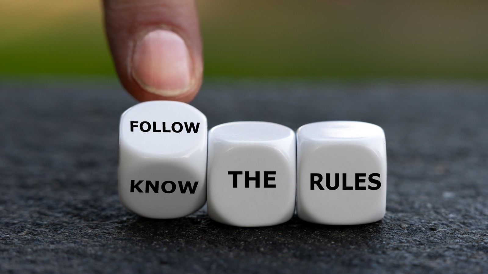 Dice that say follow / know the rules