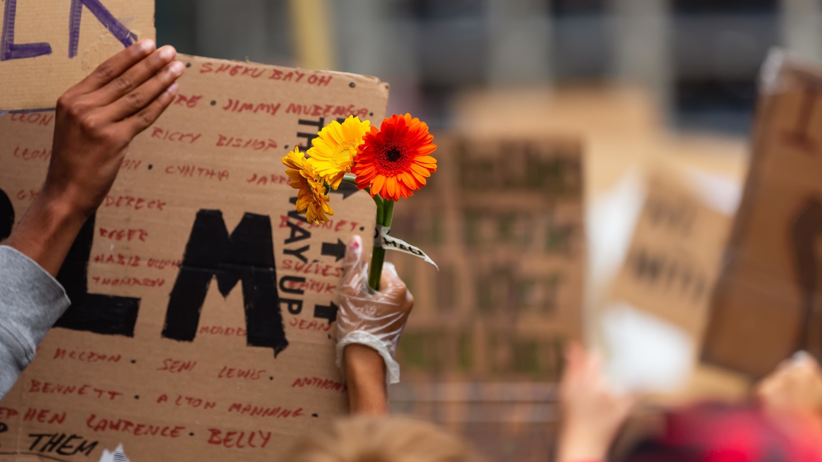 Political protest
