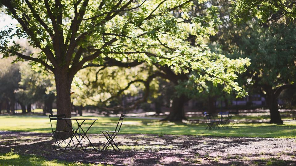 Outdoors on campus picnic table