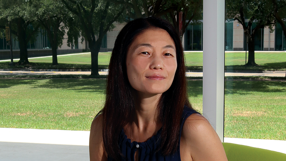 Victoria Russ Hwa Hopkins, Rice Online MBA