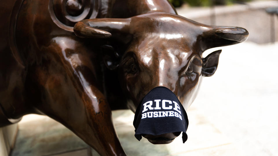 Safekeeping Admit It Bull With Mask