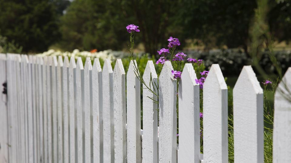 White Picket Fences