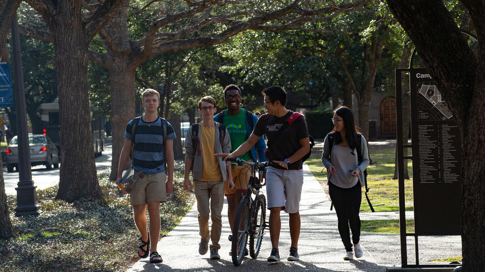 Rice students walking down tree-lined sidewalk