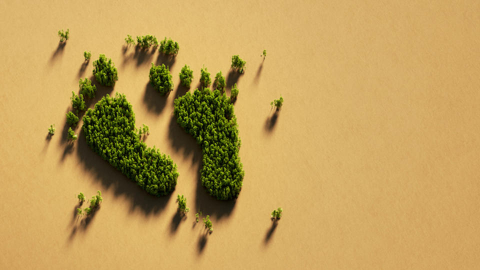 carbon footprint