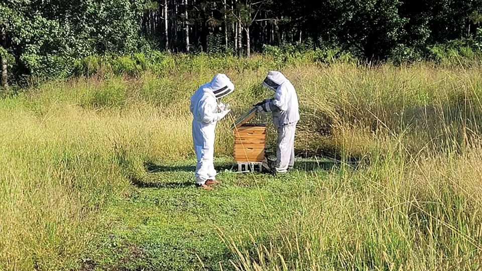 Hives For Heroes Bees