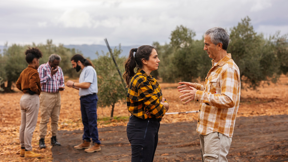 People conversing in barren garden