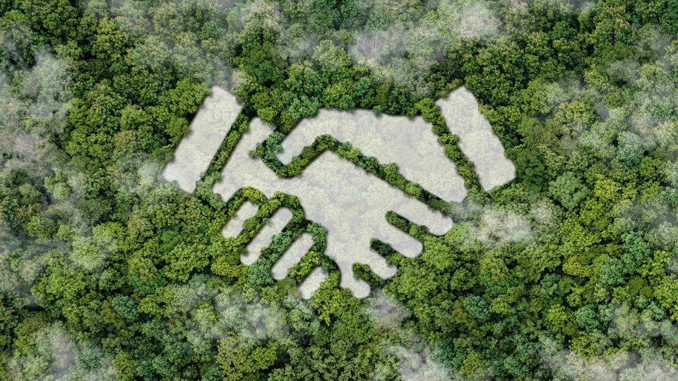 Aerial image of hands shaking embedded into forest