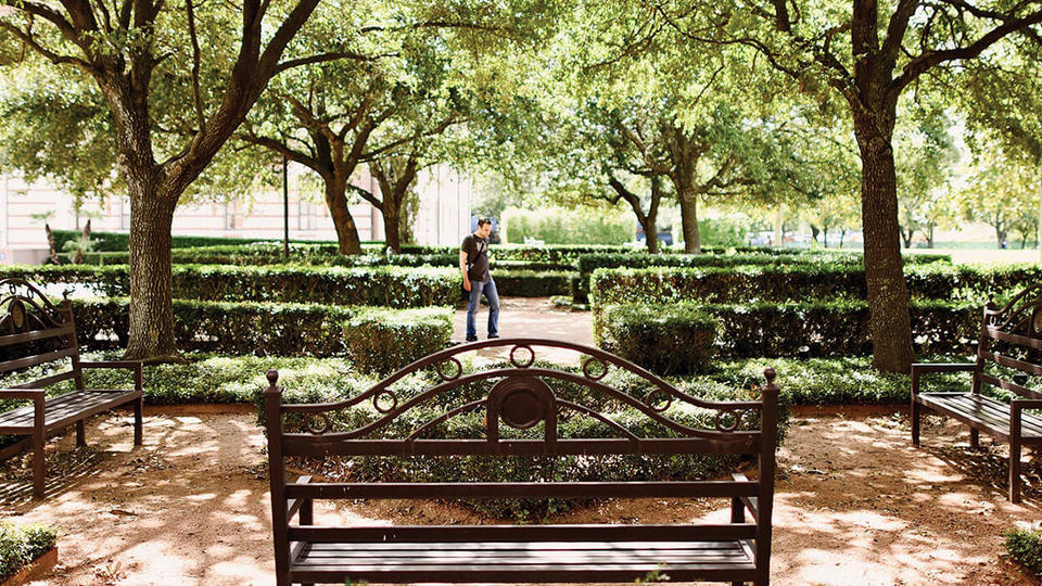 Rice University Campus