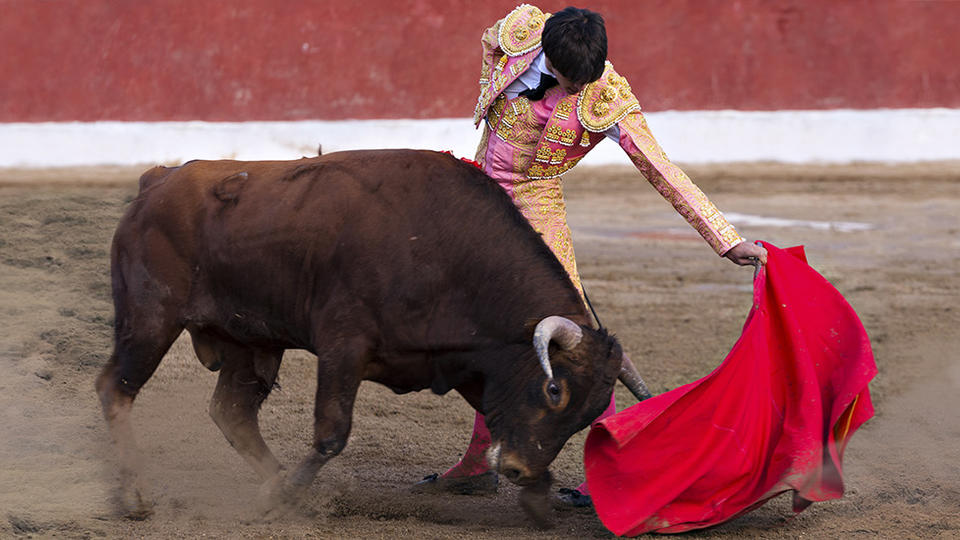 Matador waving a red flag at a bull