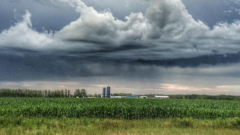 Weather News Impacts Commodity Markets Rain cloud in the distance over a field