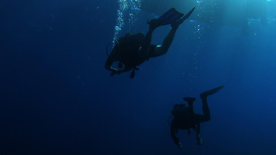 Two people scuba diving 