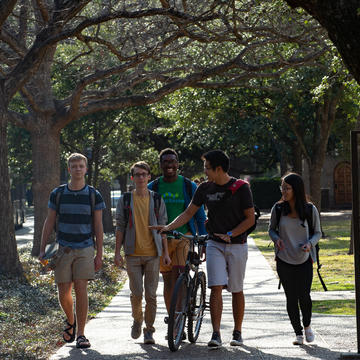 Students walking down tree-lined sidewalk