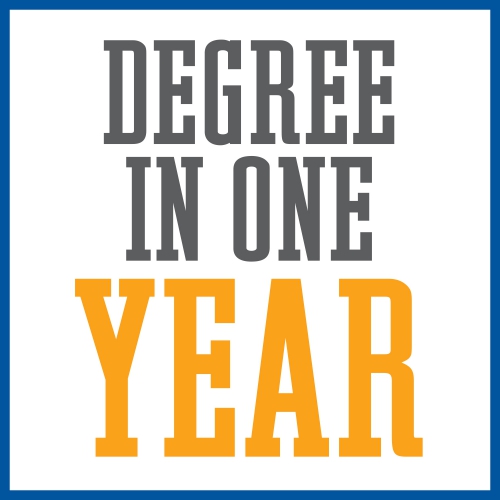 MAcc one year degree